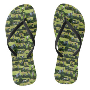 Tongs Fox Terrier Le long jour dur Photo Collage,