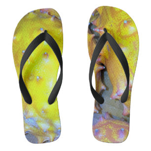 Tongs Fruit Flip Flops