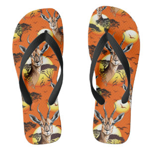 Tongs Gazelle Antelope africaine animal sauvage