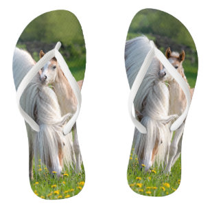 Tongs Haflinger Horses mignon Foal bébé avec maman - fli