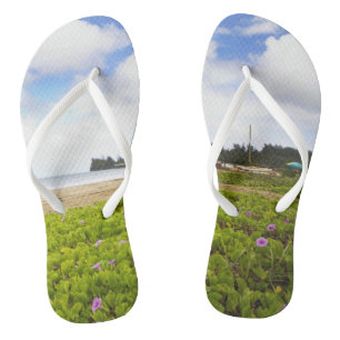 Tongs Hanalei Bay, Kauai Hawaii Beach