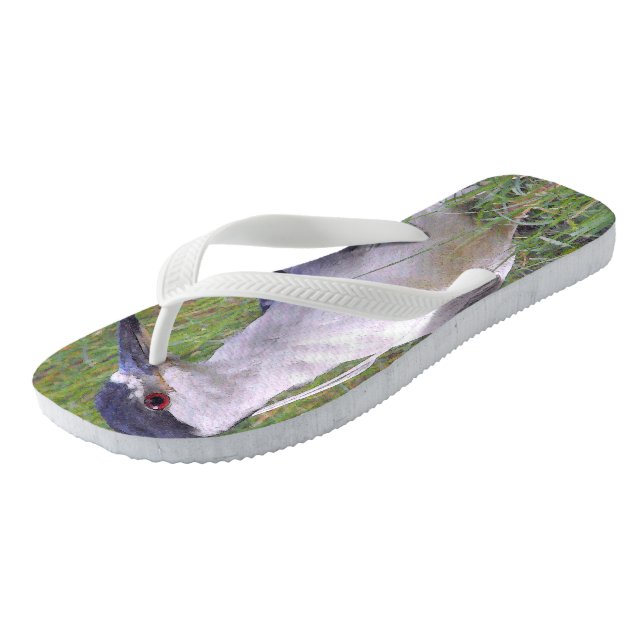 Tongs Héron de nuit dans l'herbe verte (Incliné)