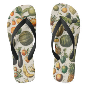 Tongs Illustration scientifique végétale des fruits