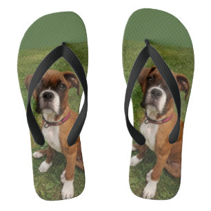 Tongs Les bascules électroniques de CHIEN de BOXEUR