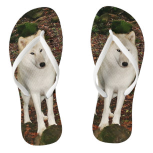 Tongs Loup blanc