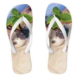 Tongs M. Bean de rat d'animal familier aux bascules