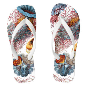 Tongs Méduse vintage par Ernst Haeckel, Discomedusae