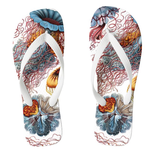 Tongs Méduse vintage par Ernst Haeckel, Discomedusae (Semelle)