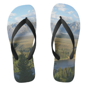Tongs Montagnes et rivière de Jackson Hole