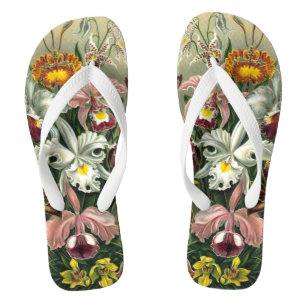 Tongs Orchidées d'Ernst Haeckel, Fleurs de la Forêt Trop