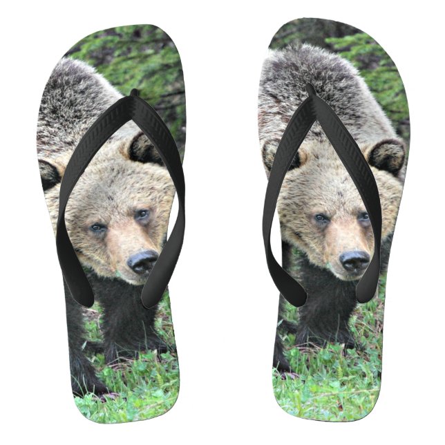 Tongs Ours Grizzly Marchant Dans Les Bois (Semelle)