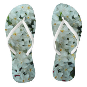 Tongs Paperwhite Narcissus Fleurs blanches délicates