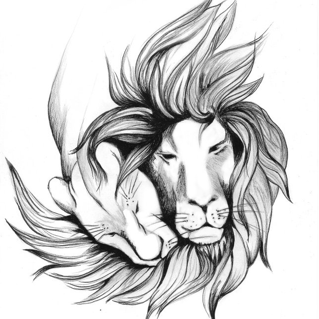 Tongs Papillon abstrait Imaginaire Flip Flops (Créateur téléchargé)