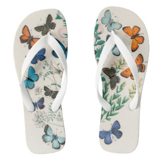 Tongs Papillons, illustration vintage