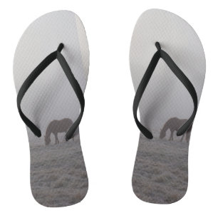 Tongs Pâturage brumeux
