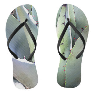 Tongs Plante d'Agave Succulente Cactus Bleus Désert de T