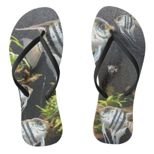 Tongs Poisson Tropical Frappe Adulte
