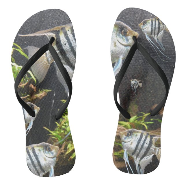 Tongs Poisson Tropical Frappe Adulte (Semelle)