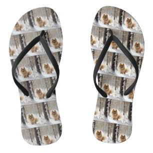 Tongs Poméranie Laissez Tomber la Neige Noël