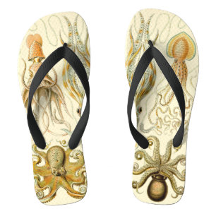 Tongs Poulpe Vintage Squid Gamochonia par Ernst Haeckel