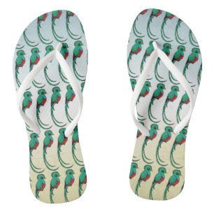 Tongs Quetzal resplendissant Birdor