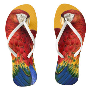 Tongs Rainbow Macaw Parrot Lover Bold et Summery