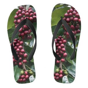 Tongs **"Récolte en fleurs : grains de café sur l'arbre"