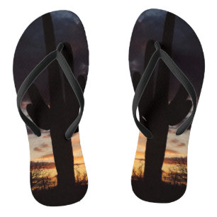 Tongs Saguaro Sunset III Arizona Desert Paysage