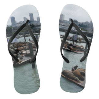 Tongs San Francisco et Pier 39 Sea Lions City Skyline