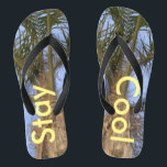 Tongs Séjour Cool Palm Trees Ciel Bleu Flops<br><div class="desc">Palmiers avec un joli ciel bleu Unisex tongs. Avec le libellé dans un jaune ensoleillé, Restez Cool. Parfait pour les tongs d'été amusant pour les hommes ou les femmes pour quiconque aime l'été et le sable entre leurs orteils, ou pour une destination de plage mariage. Montré avec une sangle bleue....</div>