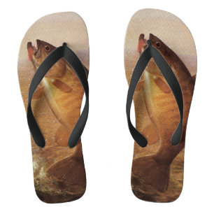 Tongs Sports vintages Pêche, Poisson Brown à grande bouc