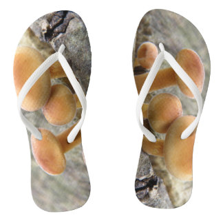 Tongs Tabourets sur un arbre Trunk Flip Flops