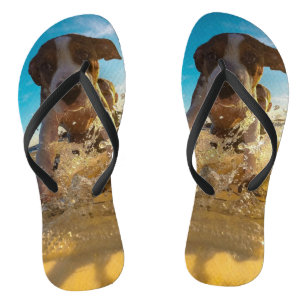 Tongs Thongs photo pour animaux domestiques personnalisé