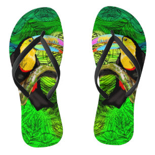 Tongs Toucan Bird Flip Flops Toco