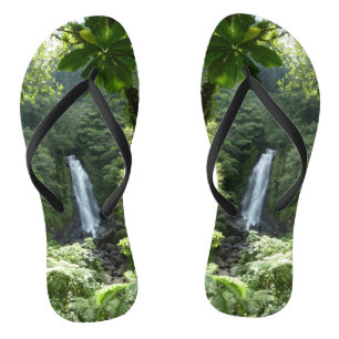 Tongs Trafalgar Falls Tropical Rainforest Photographie