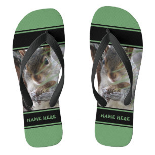 Tongs Un écureuil mignon avec le rongeur de nature de