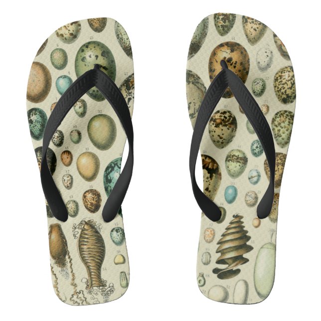 Tongs Vintage Bird Eggs French Fish Egg (Semelle)