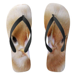 Tongs Visage de poulet bébé,