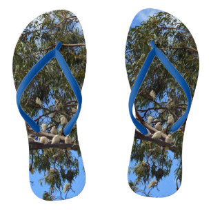 Tongs "Vol de la nature : Cockatoos australiens blancs