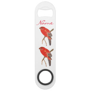 Tonnerre de perroquet rouge tropical