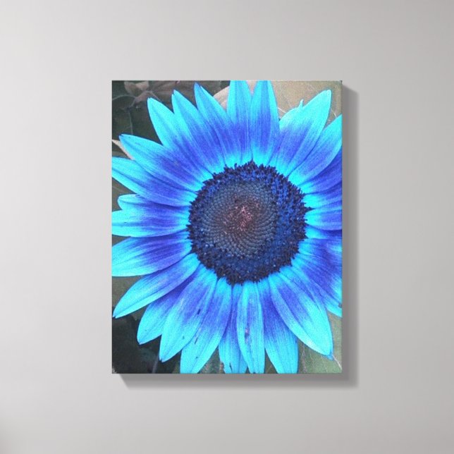 Tons de tournesol bleu toile enveloppée Imprimer (Recto)