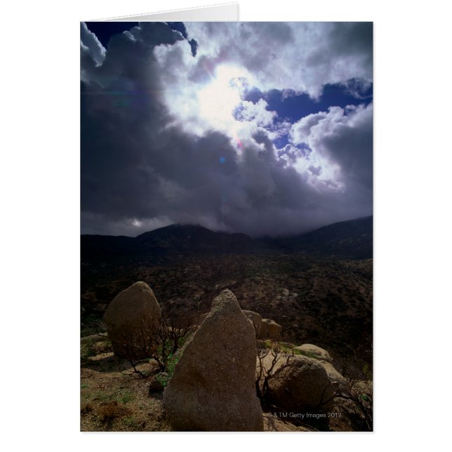 Tonto National Forest, Arizona, États-Unis (Devant)