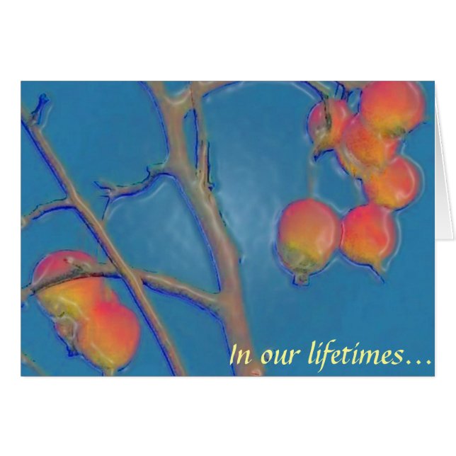 Tooty Frooty (Devant Horizontal)