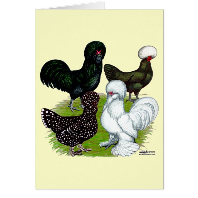 Top Hat Chicken (Devant)
