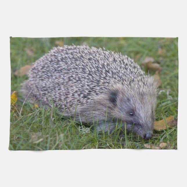 Torchon de cuisine Prickles (Horizontal)