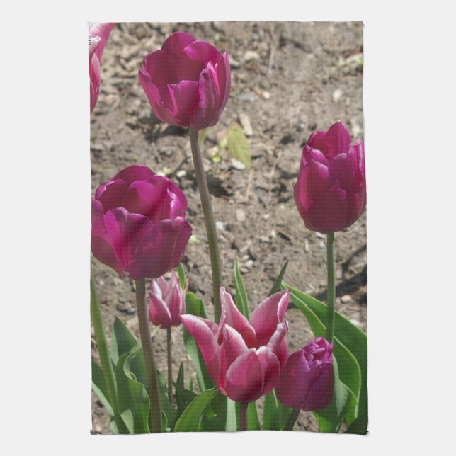 Torchon de cuisine Tulipes Violettes (Vertical)