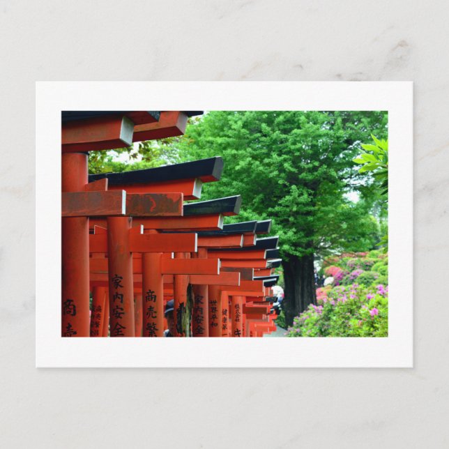 Torii Gates, Nezu Sanctuaire : Tokyo, Japon Carte  (Devant)