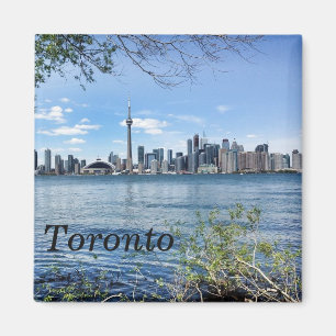 toronto magnet