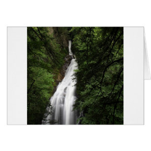 Torrent blanc de cascade