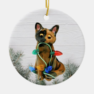 Tortie Cat Tortoiseshell Ornement